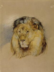 Head of a Lion by John Frederick Lewis, hand-painted oil painting reproduction
