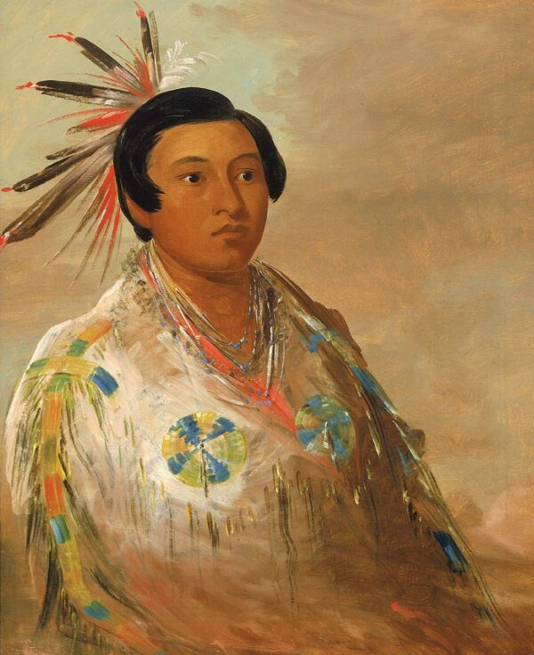 Hee doh’ge ats, a Young Man by George Catlin, hand-painted oil painting reproduction