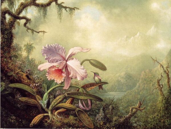 Heliodore’s Woodstar and a Pink Orchid by Martin Johnson Heade, hand-painted oil painting reproduction