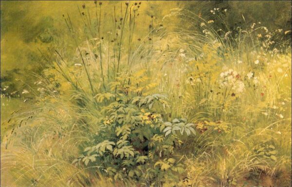 Herbage by Ivan Shishkin, hand-painted oil painting reproduction