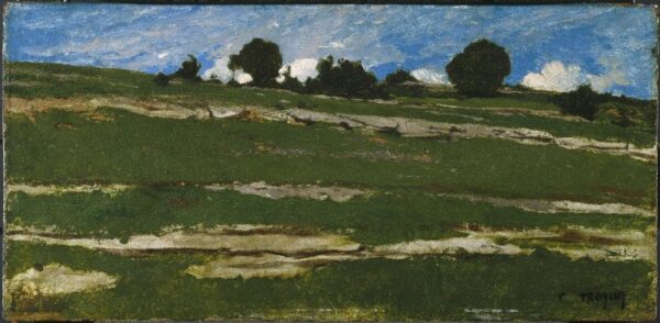 Hillside with Rocky Outcrops by Constant Troyon, hand-painted oil reproduction
