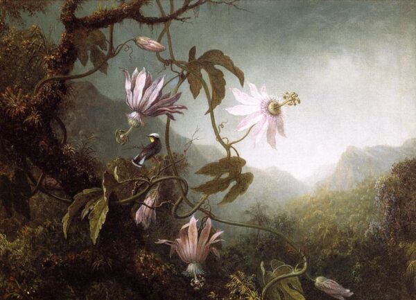 Hummingbird Perched near Passion Flowers by Martin Johnson Heade, hand-painted oil painting reproduction