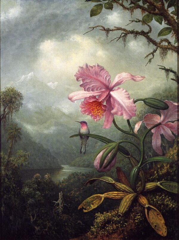 Hummingbird Perched on an Orchid Plant by Martin Johnson Heade, hand-painted oil painting reproduction