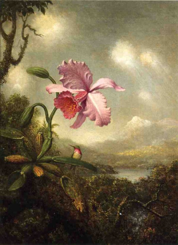 Hummingbird and Orchid – Sun Breaking Through the Clouds by Martin Johnson Heade, hand-painted oil painting reproduction