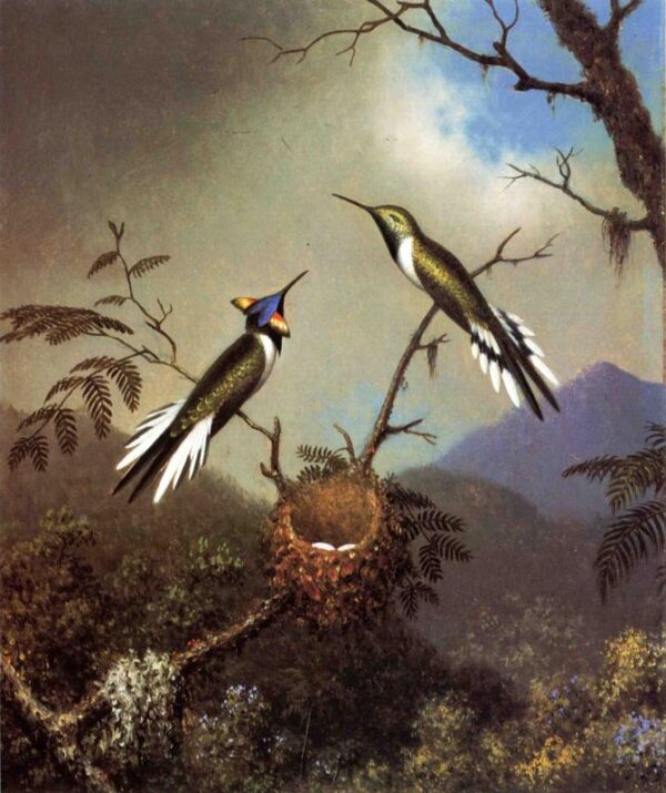 Hummingbirds at Their Nest – Sun Gems by Martin Johnson Heade, hand-painted oil painting reproduction