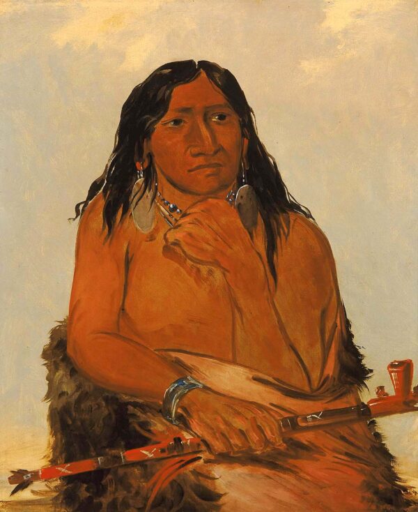 Is sa wah tam ah, Wolf Tied with Hair, a Chief by George Catlin, hand-painted oil painting reproduction