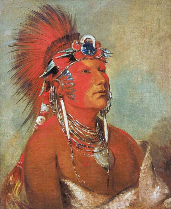 Jee he o ho shah, Cannot Be Thrown Down, a Warrior by George Catlin, hand-painted oil painting reproduction