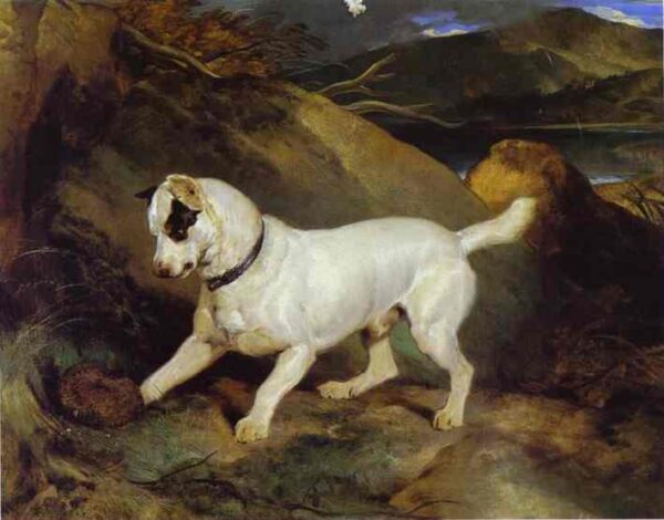Jocko With A Hedgehog by Sir Edwin Landseer, hand-painted oil painting reproduction