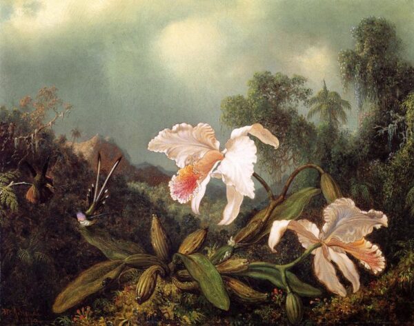 Jungle Orchids and Hummingbirds by Martin Johnson Heade, hand-painted oil painting reproduction