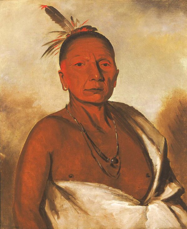 Kid a day, a Distinguished Brave by George Catlin, hand-painted oil painting reproduction
