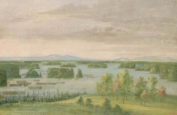 Lac du Cygne (Swan Lake), Near the Coteau des Prairies by George Catlin, hand-painted oil reproduction