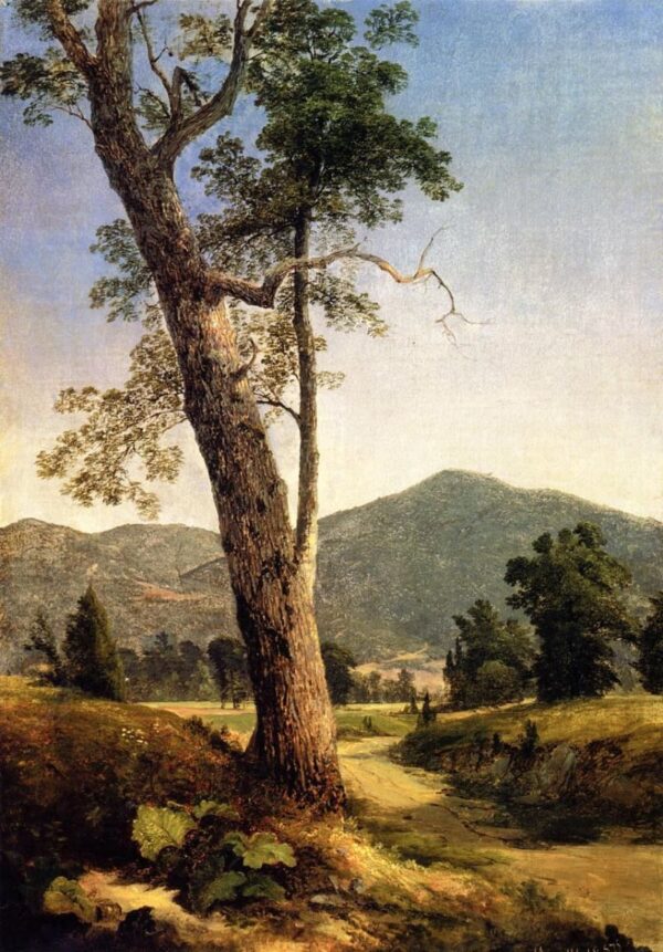 Landscape Beyond the Tree by Asher B Durand, hand-painted oil painting reproduction