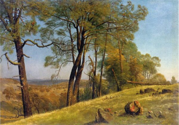 Landscape, Rockland County, California by Albert Bierstadt, hand-painted oil painting reproduction