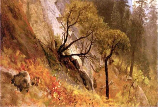 Landscape Study, Yosemite, California by Albert Bierstadt, hand-painted oil painting reproduction