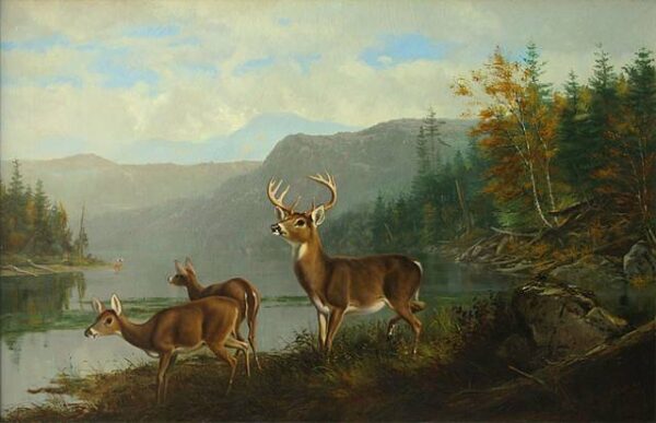 Landscape with Deer and Lake by Arthur Fitzwilliam Tait, hand-painted oil painting reproduction