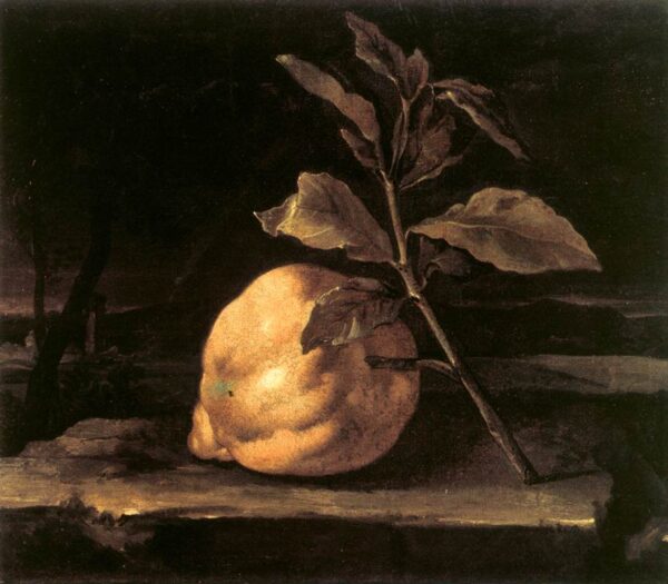 Large Citron in a Landscape by Bartilomo Bimbi, hand-painted oil painting reproduction