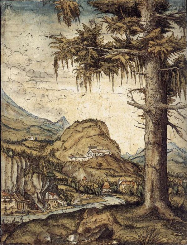 Large Fir by Albrecht Altdorfer, hand-painted oil painting reproduction