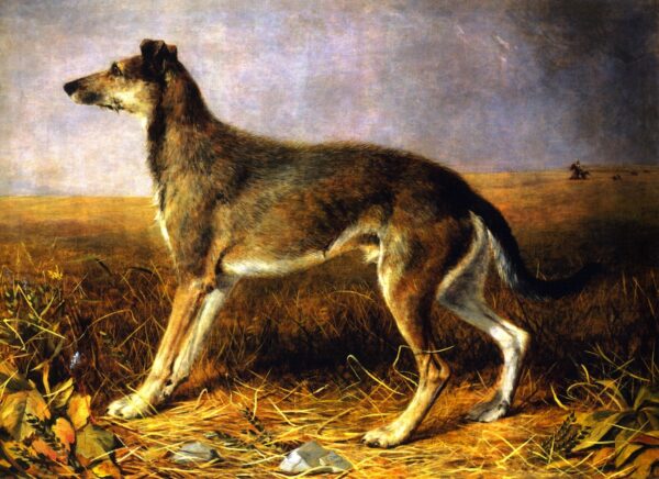 Lion by Charles Deas, hand-painted oil painting reproduction