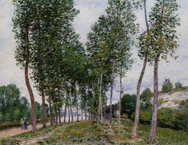 Lane of Poplars on the Banks of the Loing by Alfred Sisley, hand-painted oil painting reproduction