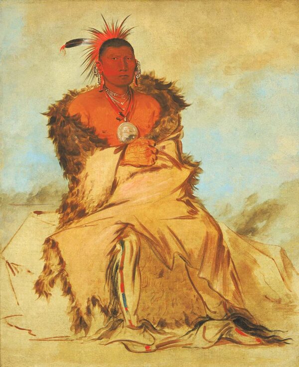 Loo ra wee re coo, Bird that Goes to War, a Tapage Pawnee by George Catlin, hand-painted oil painting reproduction