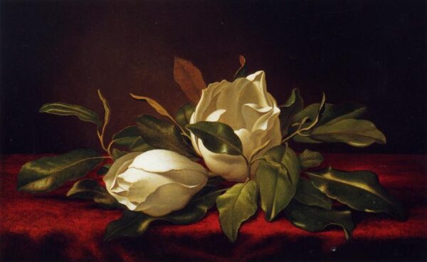 Magnoliae Grandeflorae by Martin Johnson Heade, hand-painted oil painting reproduction