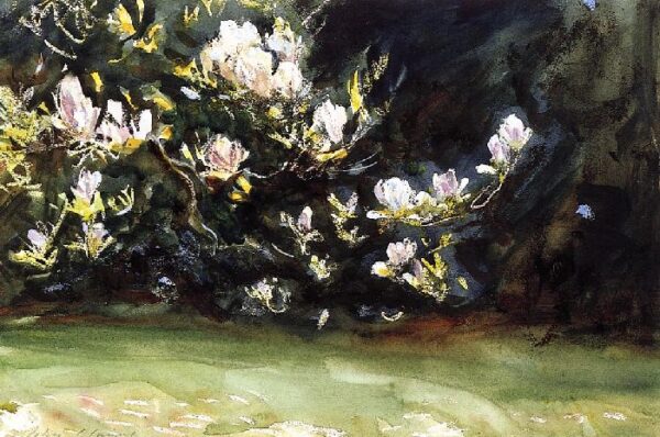 Magnolias by John Singer Sargent, hand-painted oil painting reproduction