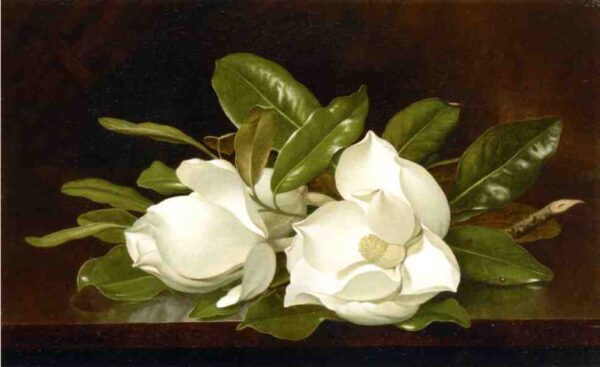 Magnolias on a Wooden Table by Martin Johnson Heade, hand-painted oil painting reproduction