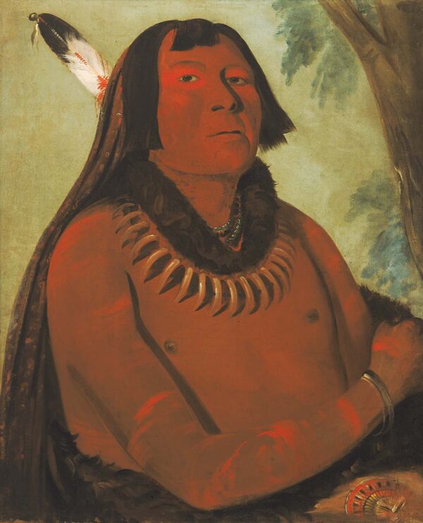 Mah tahp ta a, Rushes through the Middle, a Brave by George Catlin, hand-painted oil reproduction