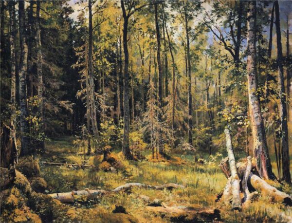 Mixed Forest by Ivan Shishkin, hand-painted oil painting reproduction