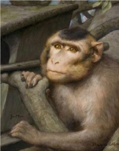 Monkey Gazing Upward by Gabriel Cornelius Ritter von Max, hand-painted oil painting reproduction