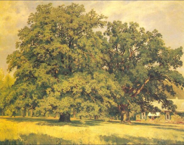 Mordvinov’s Oaks by Ivan Shishkin, hand-painted oil painting reproduction