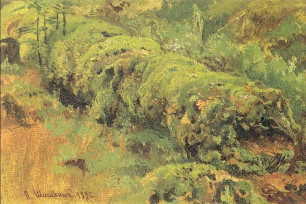 Mossy Wood by Ivan Shishkin, hand-painted oil painting reproduction