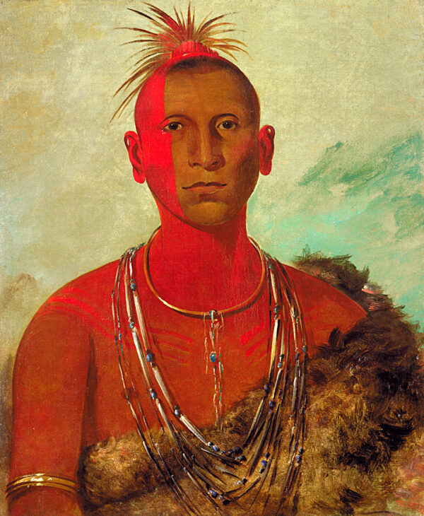 Nah se us kuk, Whirling Thunder, Eldest Son of Black Hawk by George Catlin, hand-painted oil painting reproduction