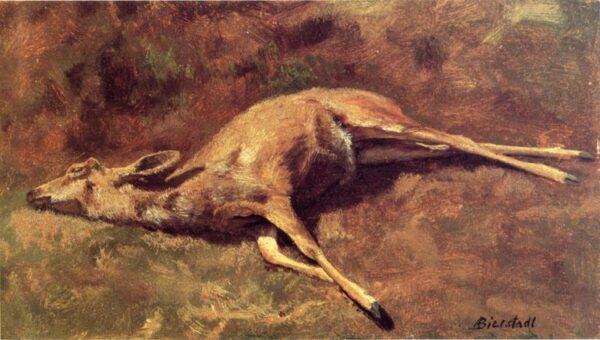 Native of the Woods by Albert Bierstadt, hand-painted oil painting reproduction