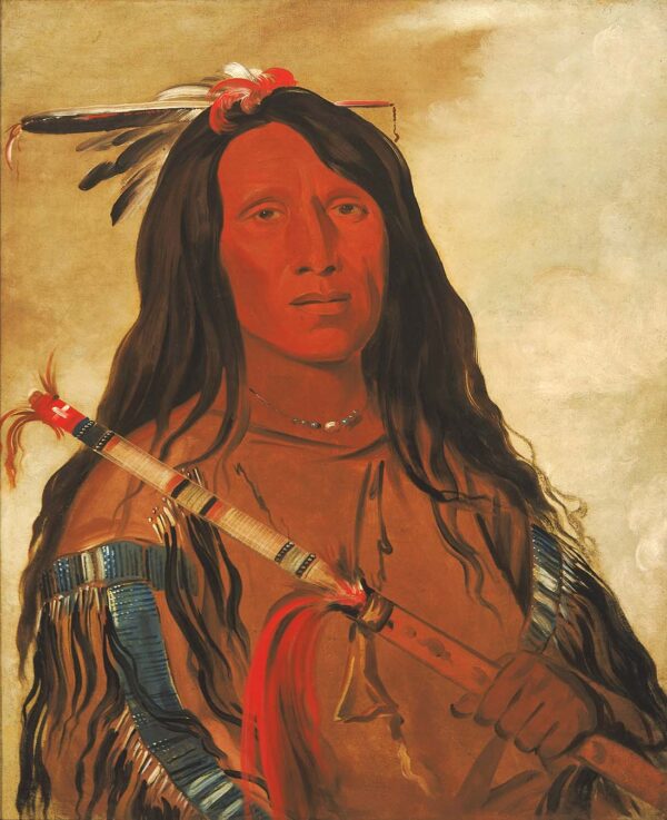 Ne hee o ee woo tis, Wolf on the Hill, Chief of the Tribe by George Catlin, hand-painted oil reproduction