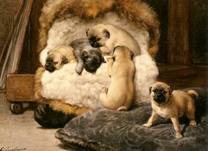 Nest Met Jonge Mastiffs by Otto Eerelman, hand-painted oil painting reproduction
