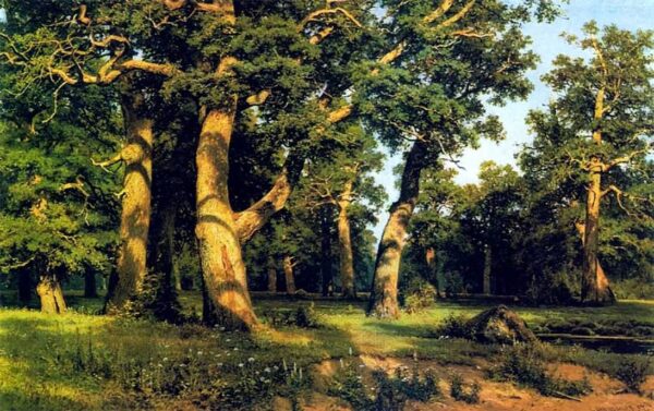 Oak Wood by Ivan Shishkin, hand-painted oil painting reproduction