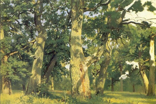 Oaks by Ivan Shishkin, hand-painted oil painting reproduction