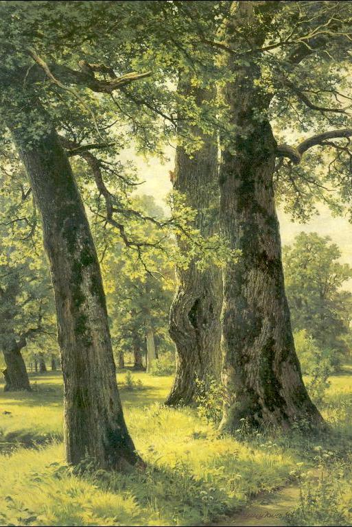 Oaks II by Ivan Shishkin, hand-painted oil reproduction