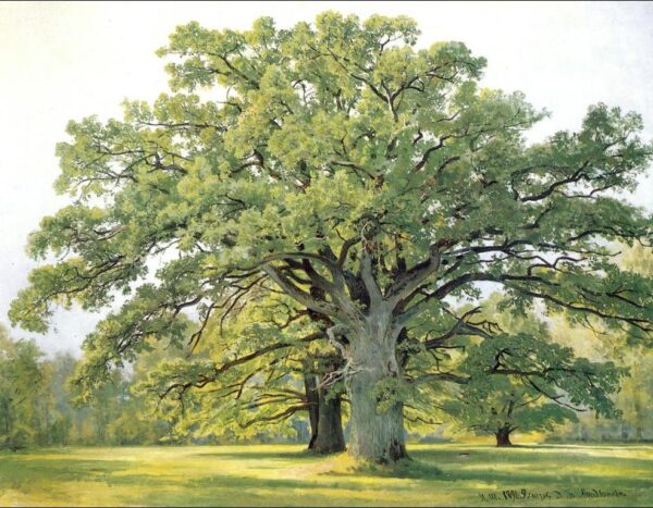 Oaks in the Old Petergof by Ivan Shishkin, hand-painted oil painting reproduction