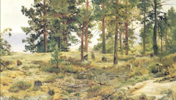On Sandy Ground by Ivan Shishkin, hand-painted oil painting reproduction