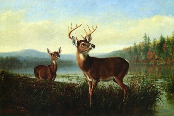 On the Alert by Arthur Fitzwilliam Tait, hand-painted oil painting reproduction