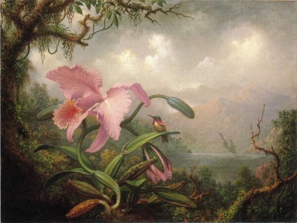Orchid and Hummingbird by Martin Johnson Heade, hand-painted oil painting reproduction