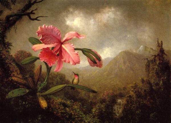 Orchid and Hummingbird near a Mountain Waterfall by Martin Johnson Heade, hand-painted oil painting reproduction