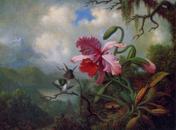 Orchid and Hummingbirds near a Mountain Lake by Martin Johnson Heade, hand-painted oil painting reproduction