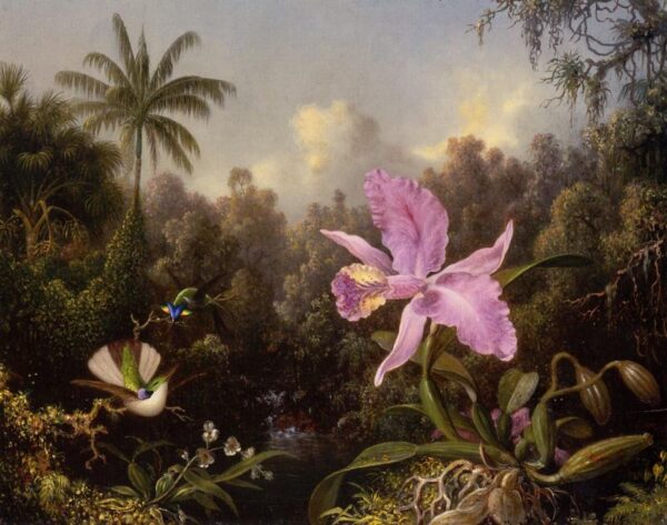 Orchid and Two Hummingbirds by Martin Johnson Heade, hand-painted oil painting reproduction