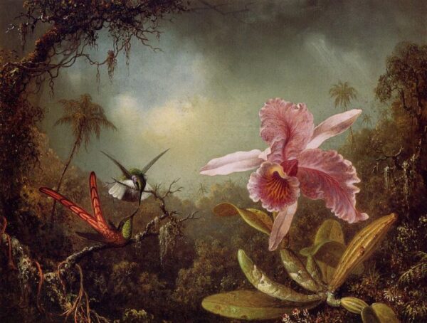 Orchid with Two Hummingbirds by Martin Johnson Heade, hand-painted oil painting reproduction