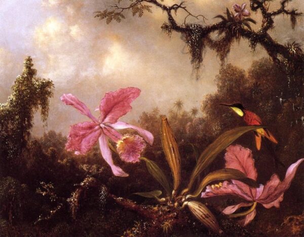 Orchids and Crimson Topaz Hummingbird by Martin Johnson Heade, hand-painted oil painting reproduction