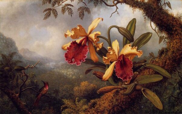 Orchids and Hummingbird by Martin Johnson Heade, hand-painted oil painting reproduction