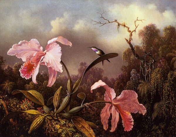 Orchids and Hummingbird III by Martin Johnson Heade, hand-painted oil painting reproduction